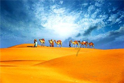 春运首日,帮帮志愿者到北站“温暖”旅客回家路